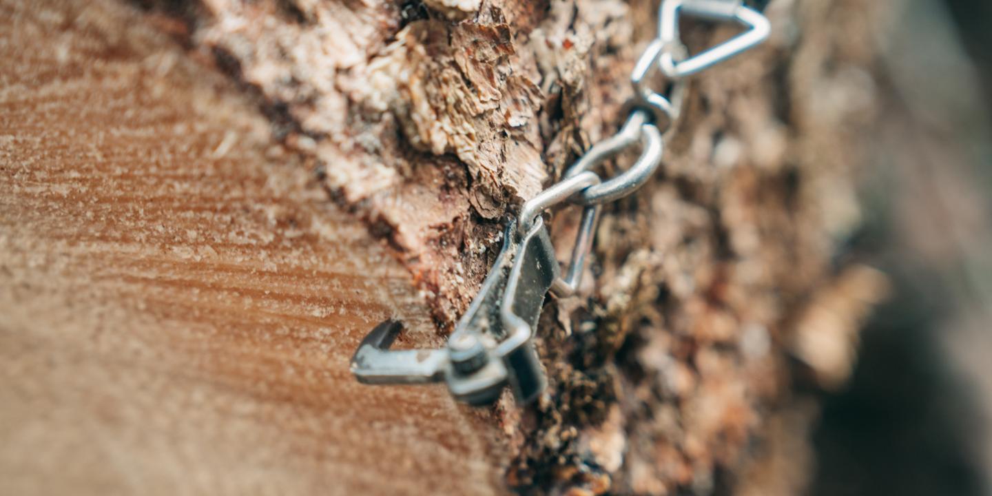 Detailbild Baumstamm beim Holztransport © Peter Maier | © Peter Maier Wälder sind unverzichtbar für den Erhalt unseres Klimas und spielen eine zentrale Rolle im globalen Kohlenstoffkreislauf.